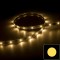 Ruban IP65 2835+ - Blanc - 7,2W/m - 30 LED/m - 5m