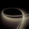 Ruban LED BLANC XL 50 M  - 8.5W - IP20- 120LED/m - 24V