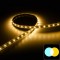Ruban LED blanc chaud + froid (CCT) - 14,4W/m - IP65 - 120 LED/m - 2835+ - à la coupe - 24V