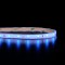 Mini ruban IP68 3528E - Bleu- 4,8W/m - 60 LED/m - 5m