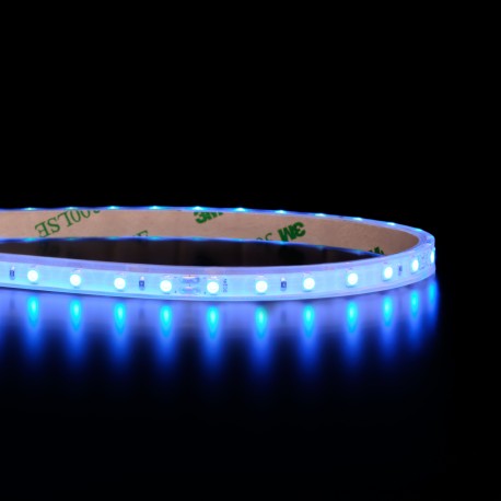 Mini ruban IP68 3528E - Bleu - 7,6W/m - 96 LED/m - 5m