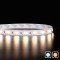 Ruban LED blanc chaud + froid (CCT) - 14,4W/m - IP65 - 120 LED/m - 2835+ - à la coupe - 24V