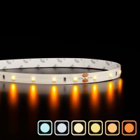 Ruban IP20 2835 haute fidélité - Blanc - 4,8W/m - 60 LED/m - 5m