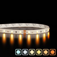 Ruban IP65 2835 haute fidélité - Blanc - 4,8W/m - 60 LED/m - 5m