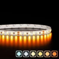 Ruban LED haute fidélité IP65 2835 - Blanc - 9,6W/m - 120 LED/m - 5m