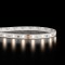 Ruban IP65 2835 haute fidélité - Blanc - 4,8W/m - 60 LED/m - 5m