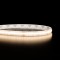 Ruban IP65 COB - Blanc - 8W/m - 320 LED/m - 5m
