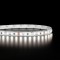 Ruban LED haute fidélité IP65 2835 - Blanc - 9,6W/m - 120 LED/m - 5m