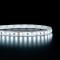 Ruban LED haute fidélité IP65 2835 - Blanc - 9,6W/m - 120 LED/m - 5m