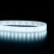 Ruban LED haute fidélité IP68 2835 - Blanc - 9,6W/m - 120 LED/m - 5m