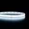 Ruban IP65 COB - Blanc - 8W/m - 320 LED/m - 5m