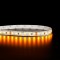 Ruban IP20 2835+- Blanc – 9,6W/m – 120 LED/m - vendu au mètre (rouleau 50 m)